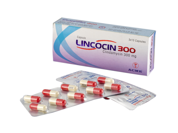 LINCOCIN