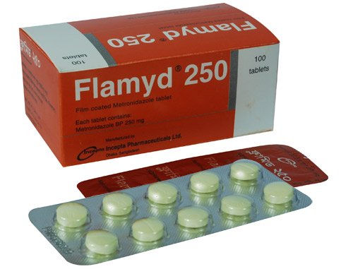 Flamyd 500 mg/100 ml