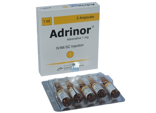 Adrinor 1 mg/ml
